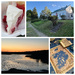 Day 21, 2026 Maine  Adventure 