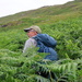 The Bracken was high!