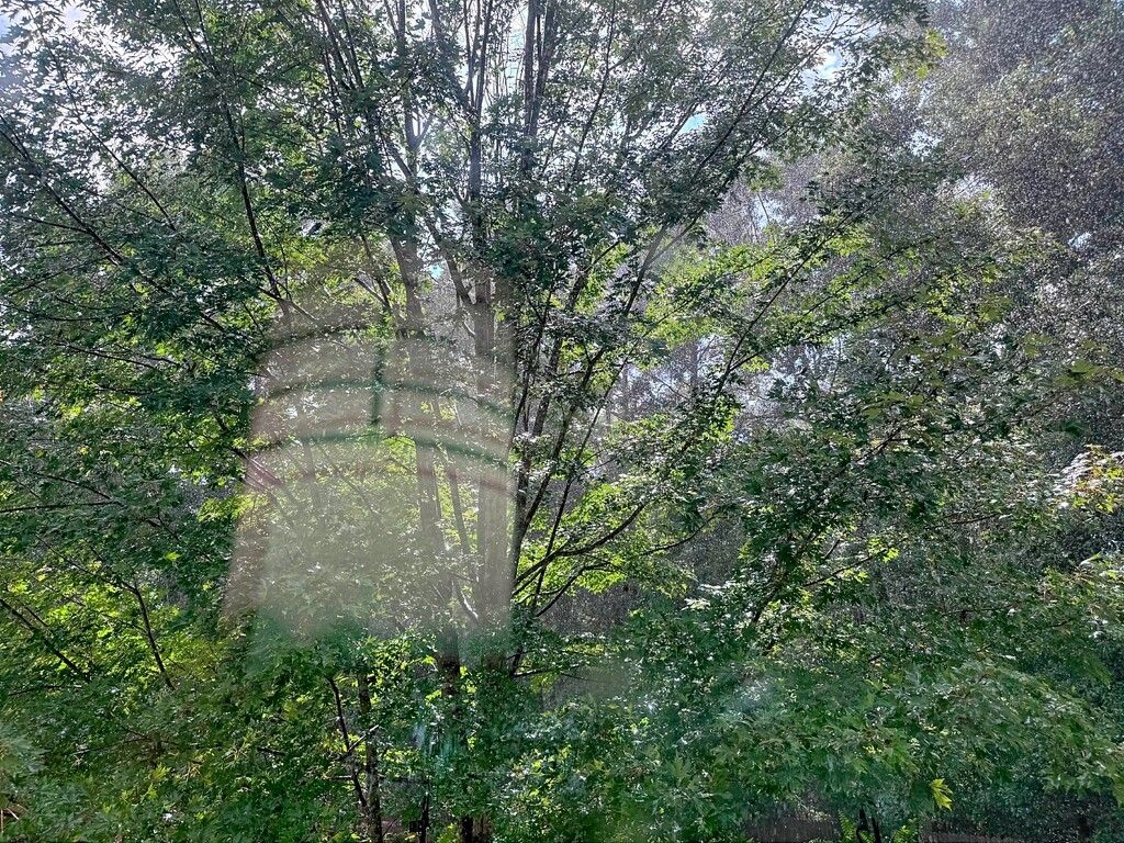 Looking out at the downpour... by marlboromaam