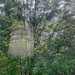 Looking out at the downpour...