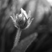Hidden Away