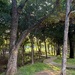 The best time for a walk