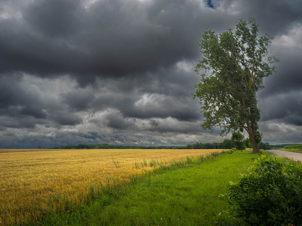Breakdown of weather by haskar