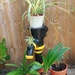Old water pump 