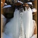 Ice Sculpture by digitalrn