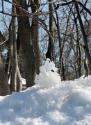 11th Feb 2011 - Snow Beast