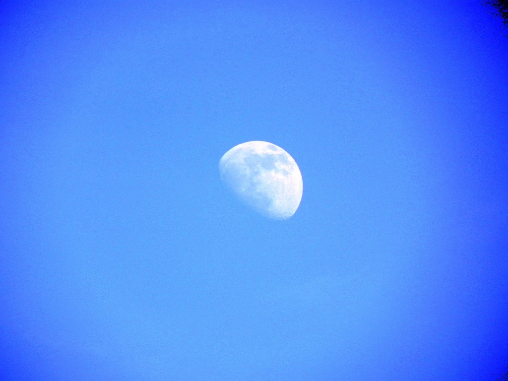 Moon by mej2011