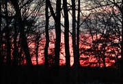 13th Feb 2011 - Sunset in Richland