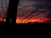 13th Feb 2011 - Red Skies at Night...