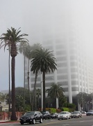 13th Feb 2011 - Coastal fog