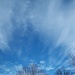cloud fan by bruni