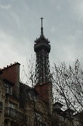 14th Feb 2011 - Hide and seek Eiffel tower