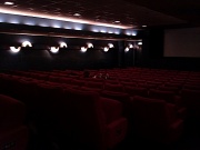 13th Feb 2011 - Cinema