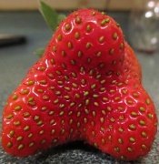 13th Feb 2011 - I Heart Strawberries