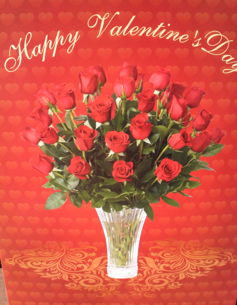 Biggest Valentine's Day Card Ever  by graceratliff