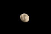 15th Feb 2011 - M-o-o-n,  that spells moon.