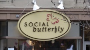 15th Feb 2011 - social butterfly 