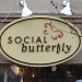 social butterfly  by summerfield