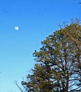 15th Feb 2011 - Moon at 4-30pm