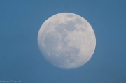 16th Feb 2011 - Moon Shot