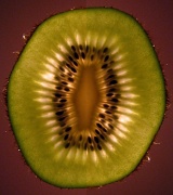 16th Feb 2011 - kiwifruit
