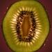 kiwifruit by sarahhorsfall