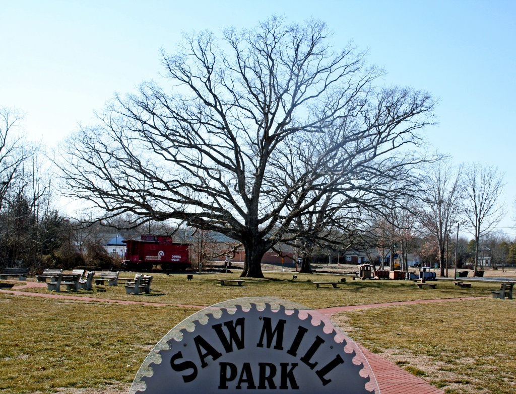 Saw Mill Park by hjbenson