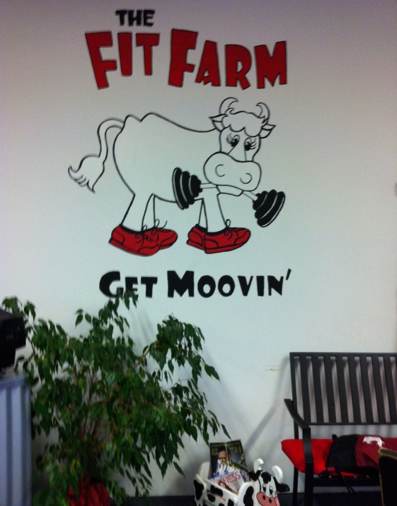 The Fit Farm by marilyn