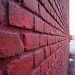 all in all youre just another brick in the wall by pleiotropy