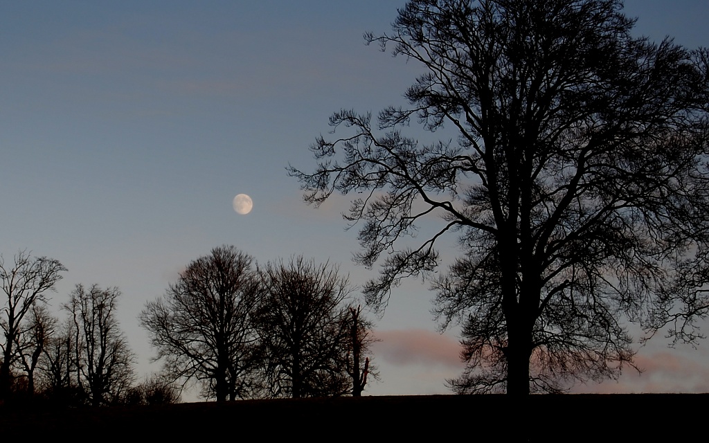 Winter Moon by andycoleborn