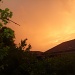 Back yard sunset by peterdegraaff