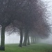 Fog by sunny369