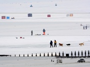 18th Feb 2011 - Ice fishing