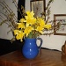 Daffodils in blue jug.   by snowy