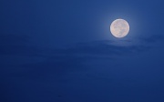 19th Feb 2011 - The early morning moon