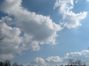 19th Feb 2011 - Some puffy white clouds