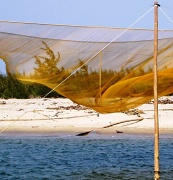 4th Mar 2010 - Fishing Net