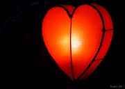 21st Feb 2011 - Your heart, my heart