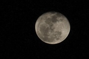 19th Feb 2011 - Lunar Lunatic!
