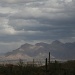Tucson by kerristephens