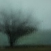 rain on the car windscreen by lbmcshutter