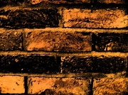 20th Feb 2011 - "Another brick in the wall"