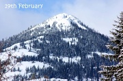 19th Feb 2011 - 19th February