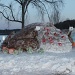 Winter Festival in Dexter by mandyj92