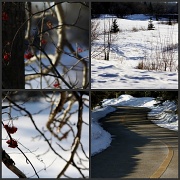 20th Feb 2011 - Winter Walk