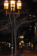 6th Mar 2010 - McGill Street in Montreal
