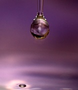 21st Feb 2011 - my first water drop photo