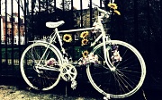 21st Feb 2011 - Ghost Bike