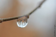 21st Feb 2011 - Sorry — another droplet!