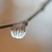 Sorry — another droplet! by rhoing